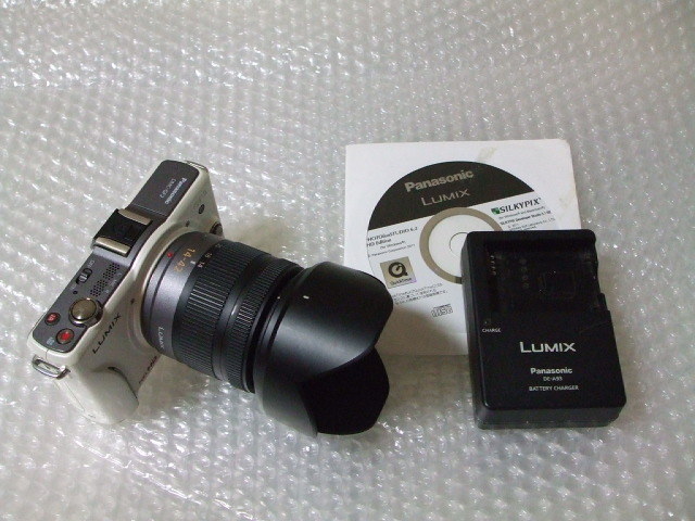 Panasonic DFC-GF2 + H-FS014042 レンズ + 充電器 + バッテリー_画像1