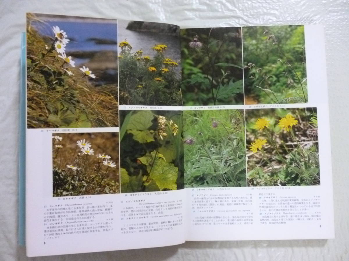 ヤフオク 北海道の高山植物と山草 著 伊藤浩司 ヤフオク 北海道の高山植物と山草 著 伊藤浩司