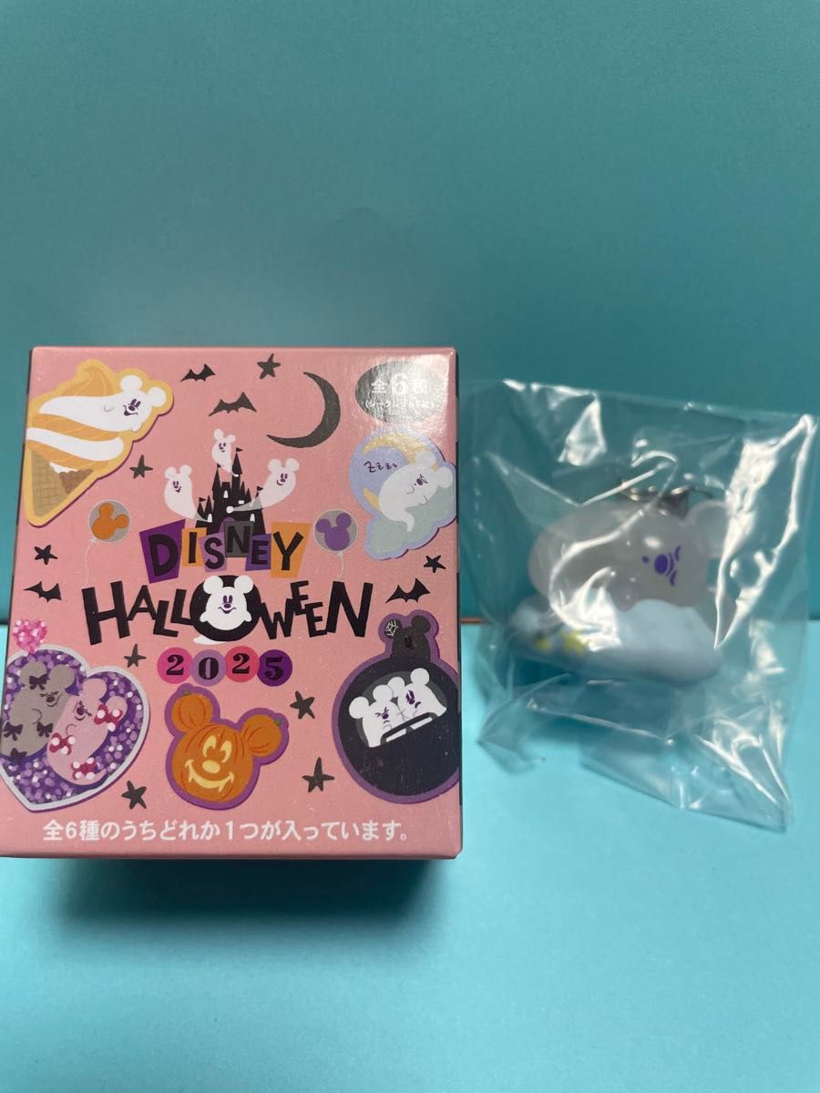 非売品 東京ディズニーランド チャームプレゼントキャンペーン コンプリートセット 0401150009569.jpg