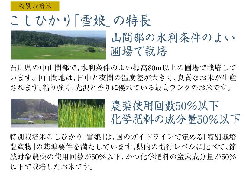  2袋セット　石川県民も絶賛　一粒が大きい　マイハート 令和2年　新米　石川県産　ひゃくまん穀　ひゃくまんごく　ブランド米　 5kg　金沢_画像4