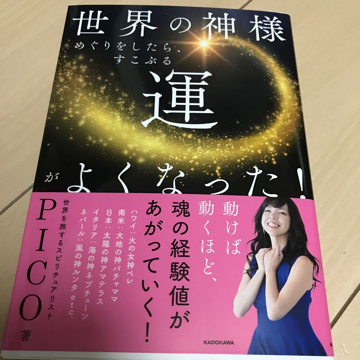 Paypayフリマ 世界の神様めぐりをしたら すこぶる運がよくなった Pico