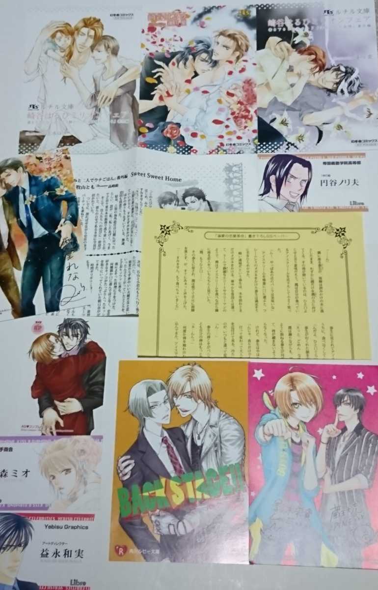  novels & library privilege small booklet,SS card,SS paper, illustration card etc. iroiro