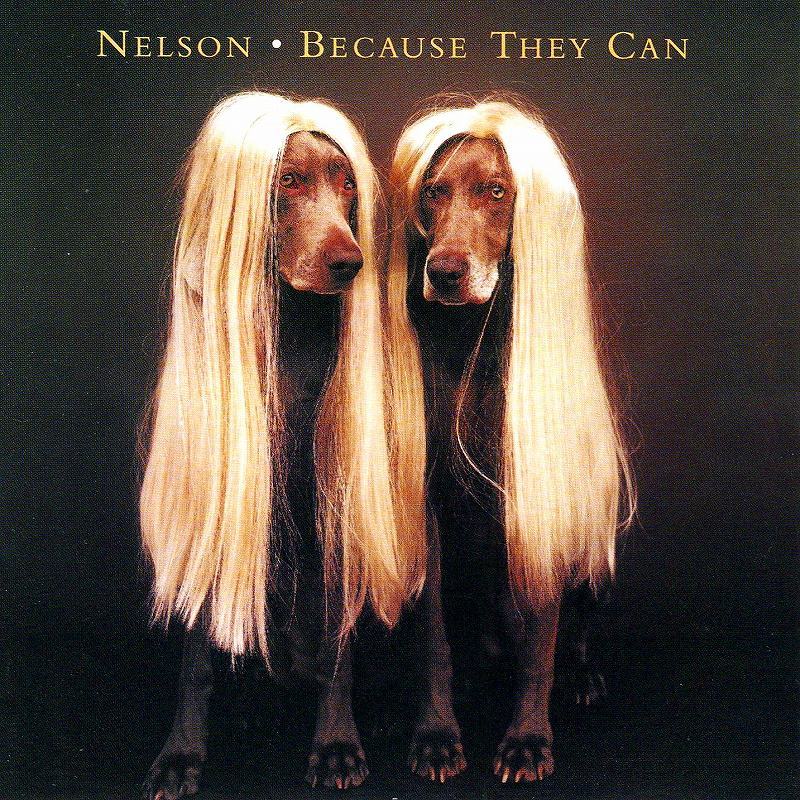 ◆◆NELSON◆BECAUSE THEY CAN ネルソン ビコーズ・ゼイ・キャン 国内盤 即決 送料込◆◆_画像1