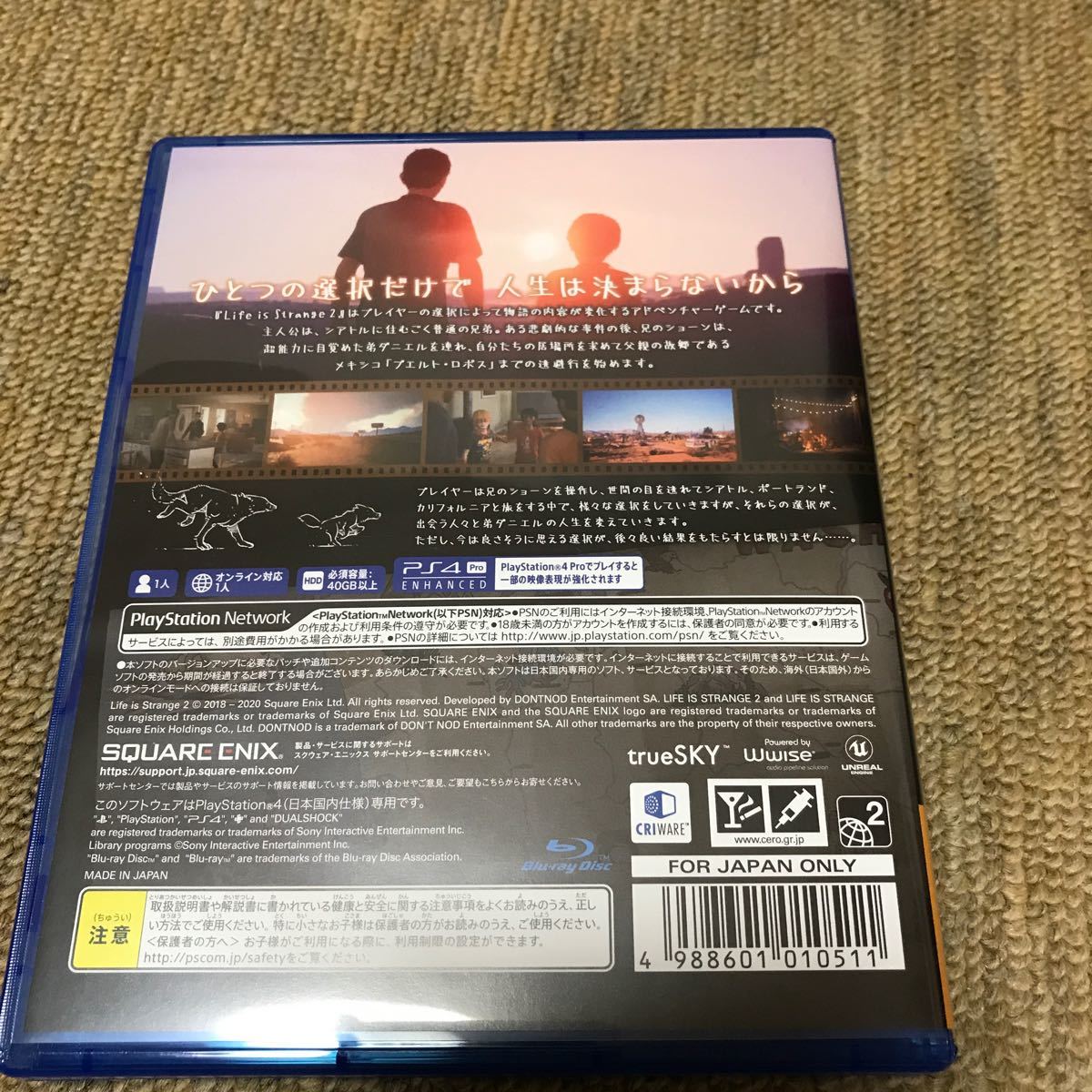 【PS4】 ライフ イズ ストレンジ 2 LIFE IS STRANGE2