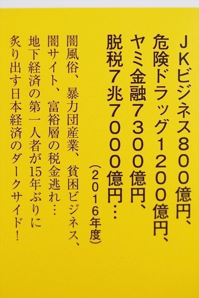 『日本の「地下経済」最新白書』　闇で蠢く26.5兆円の真実　闇風俗 暴力団産業 貧困ビジネス 闇サイト 富裕層の税金逃れ 門倉貴史_画像2