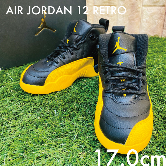 jordan 12 retro ps