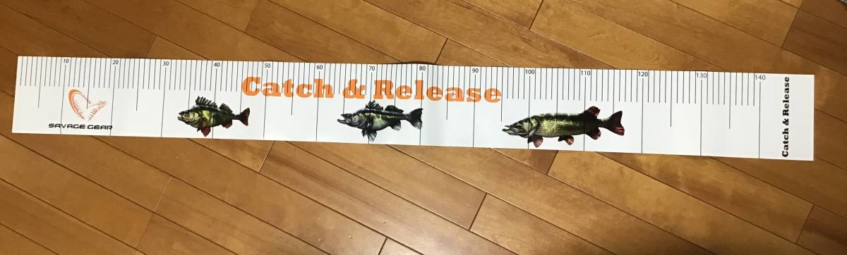 フィッシングメジャー　フィッシングスケール　魚計測　メジャー　簡易スケール_画像1