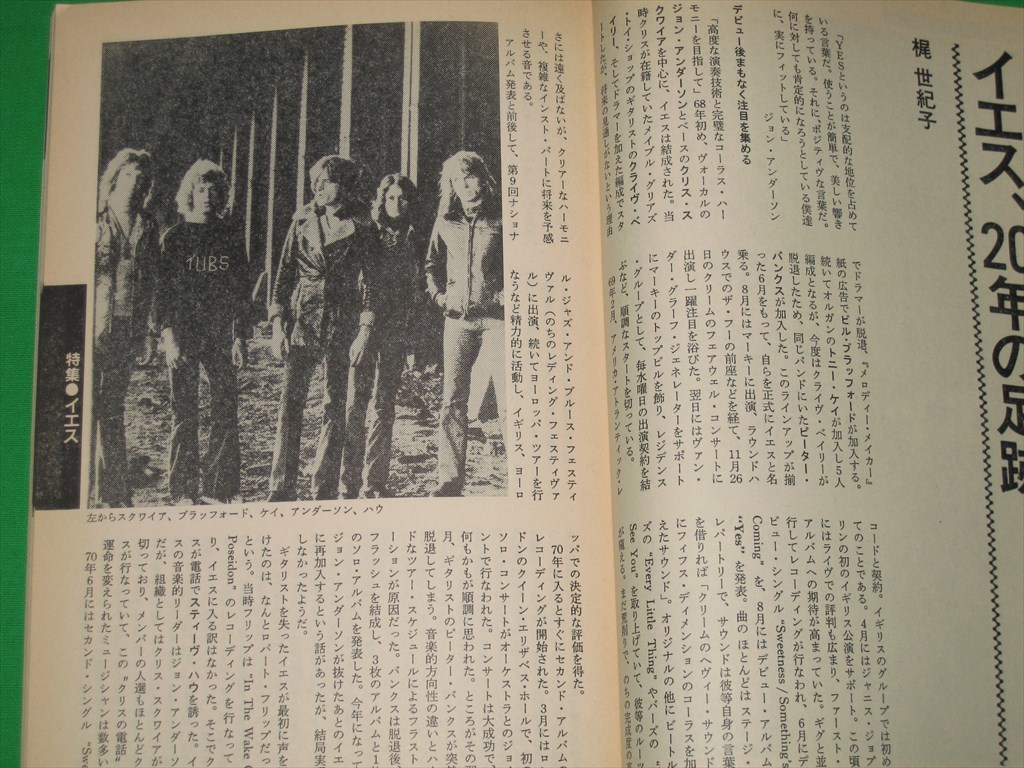 別冊MUSIC MAGAZINE レコード・コレクターズ / 1989 SEP Vol.8 No.9 【D-911】_画像4