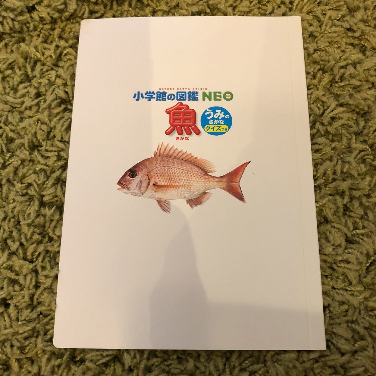 Paypayフリマ マクドナルド マック ハッピーセット 魚図鑑 ドラえもんdvd Paypayフリマ マクドナルド マック ハッピーセット 魚図鑑 ドラえもんdvd