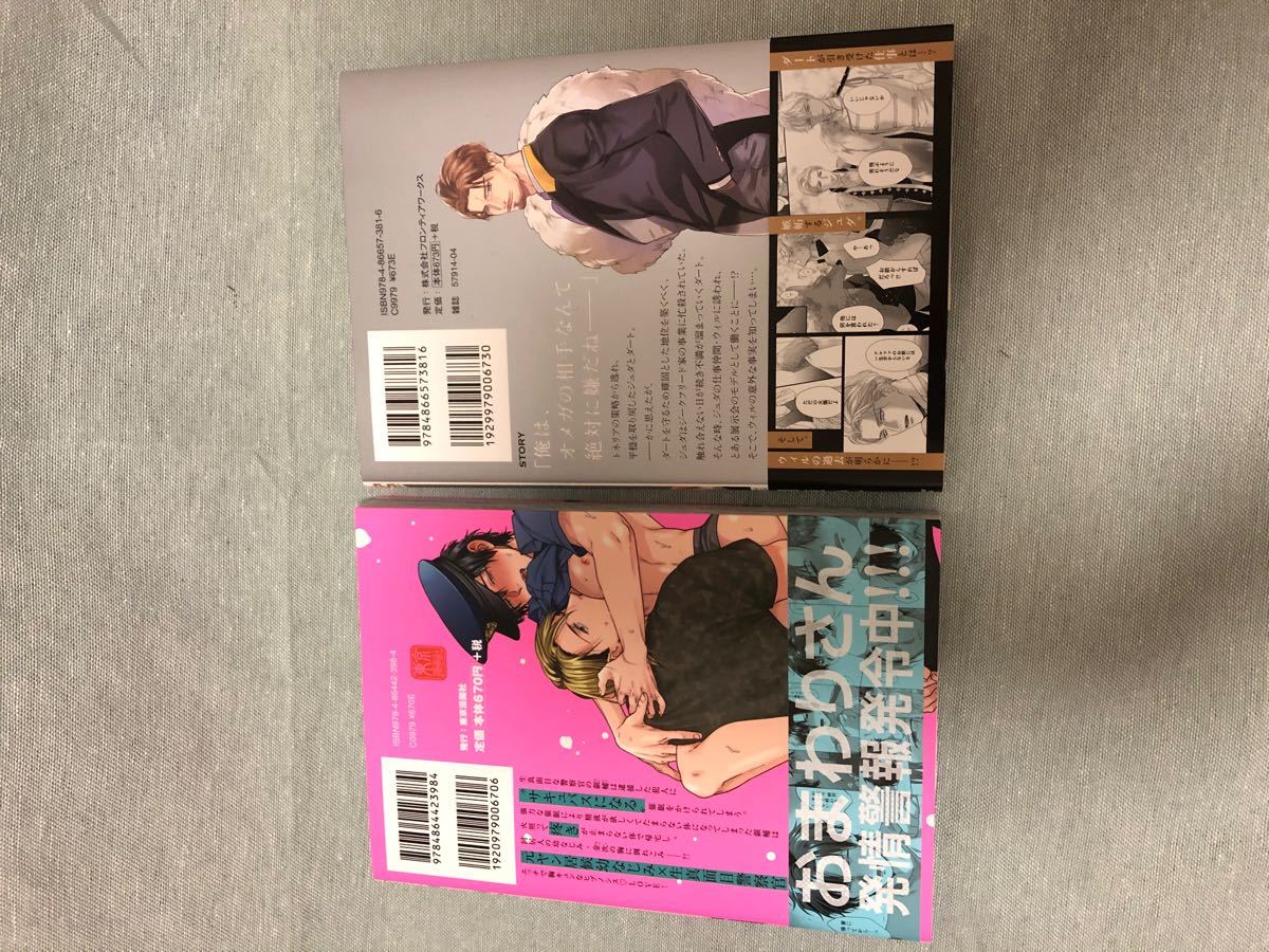 Paypayフリマ Blコミック 新刊 催眠サキュバス 仁井ちく レムナント5 羽純ハナ
