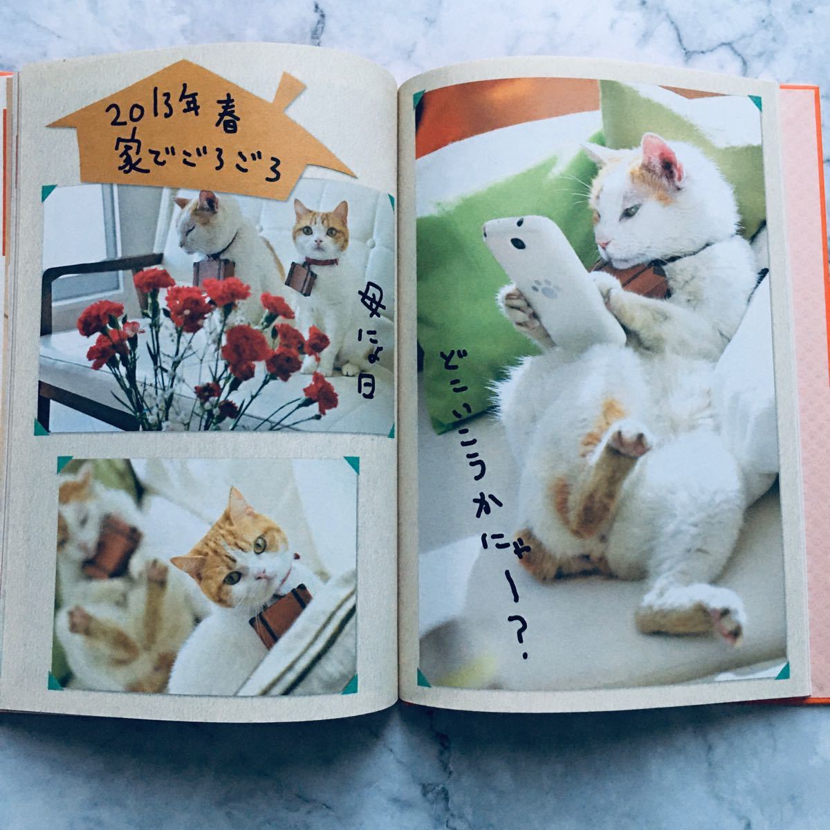 Paypayフリマ じゃらん 特別付録 にゃらんの思い出アルバム ネコ写真集 Paypayフリマ じゃらん 特別付録 にゃらんの思い出アルバム ネコ写真集