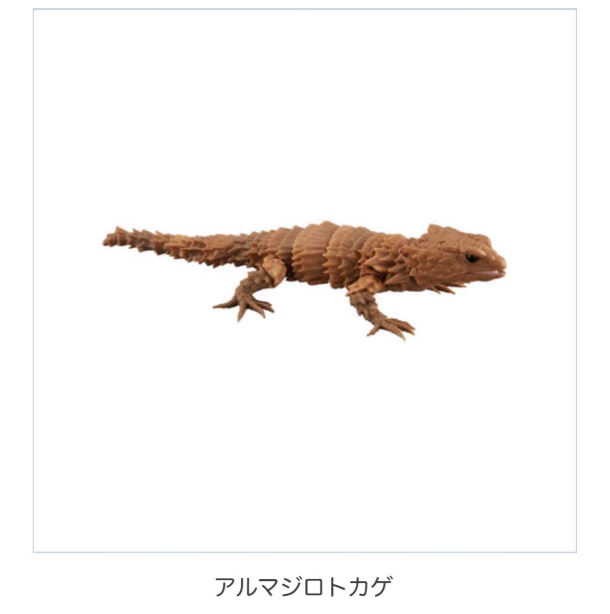 Paypayフリマ アルマジロトカゲ 未開封 ダンゴムシ ガチャ だんごむし Paypayフリマ アルマジロトカゲ 未開封 ダンゴムシ ガチャ だんごむし