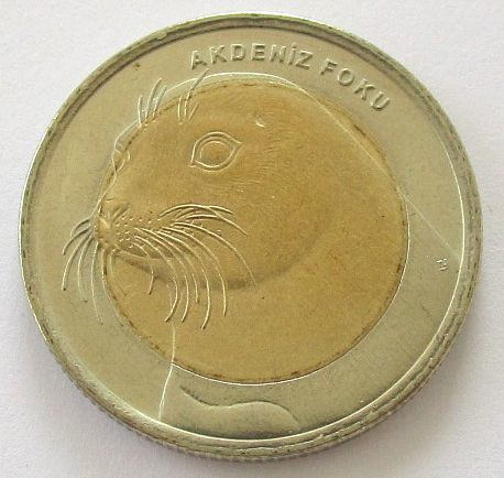 トルコ チチュウカイモンク アザラシ 1リラ 2013年 硬貨の画像1