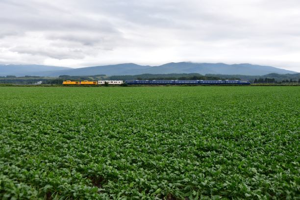 デジタル画像　　850-580　ロイヤルエクスプレス北海道　　　_画像1