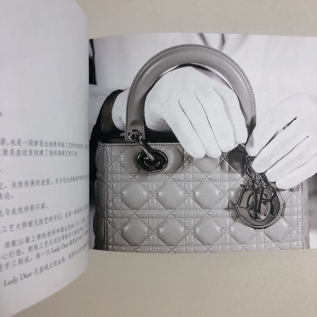 即決☆Christian Dior ディオール レディディオール ブックレット 冊子 カタログ_画像6