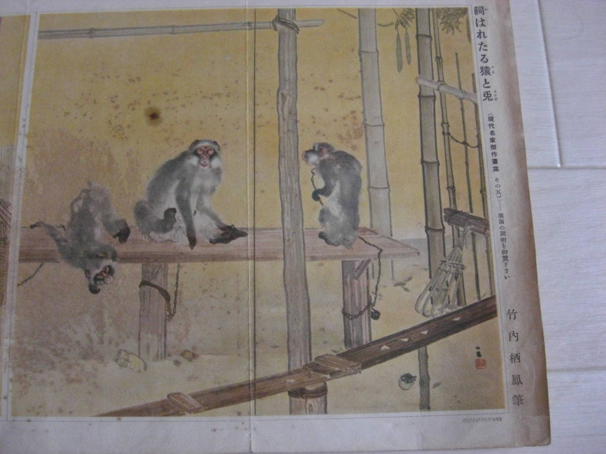 竹内栖鳳「飼われたる猿と兎」昭和印刷物*A-1332_画像2