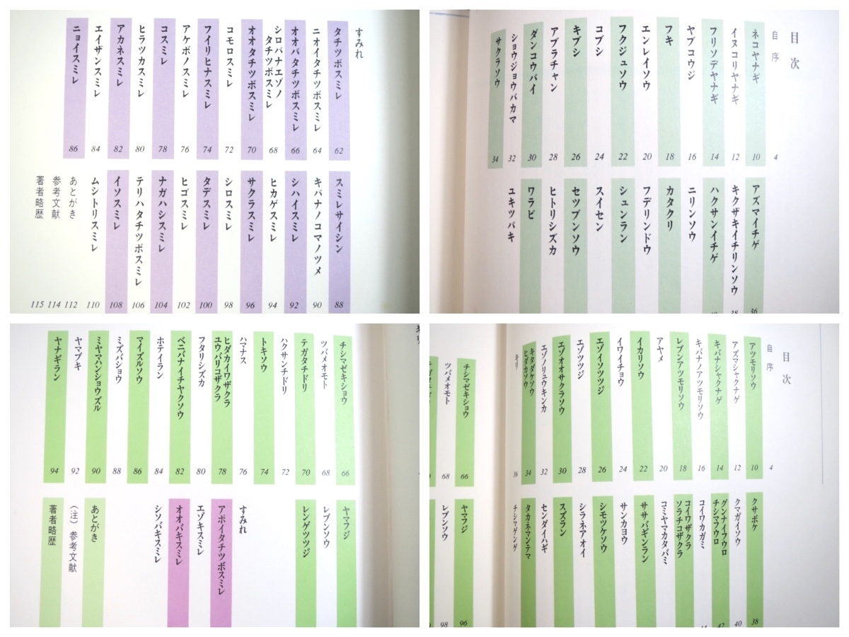 【サイン本2冊セット】小林政紘スケッチシリーズ 画文集「1 水ぬるむ」「2 むせる若葉」白山書房（1991,1993年）箱つき_画像10