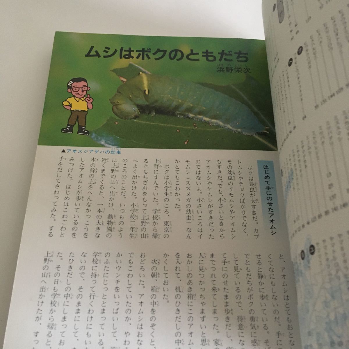 ★即決★ 昆虫 ジュニア図鑑百科 1 実業之日本社 1983年 第1刷発行 昭和レトロ本 ♪05 G2