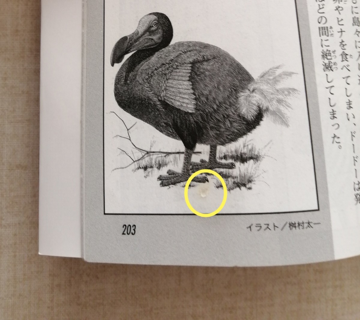 Paypayフリマ ドラえもん 科学ワールド 恐竜と失われた動物たち 南極の不思議 Paypayフリマ ドラえもん 科学ワールド 恐竜と失われた動物たち 南極の不思議