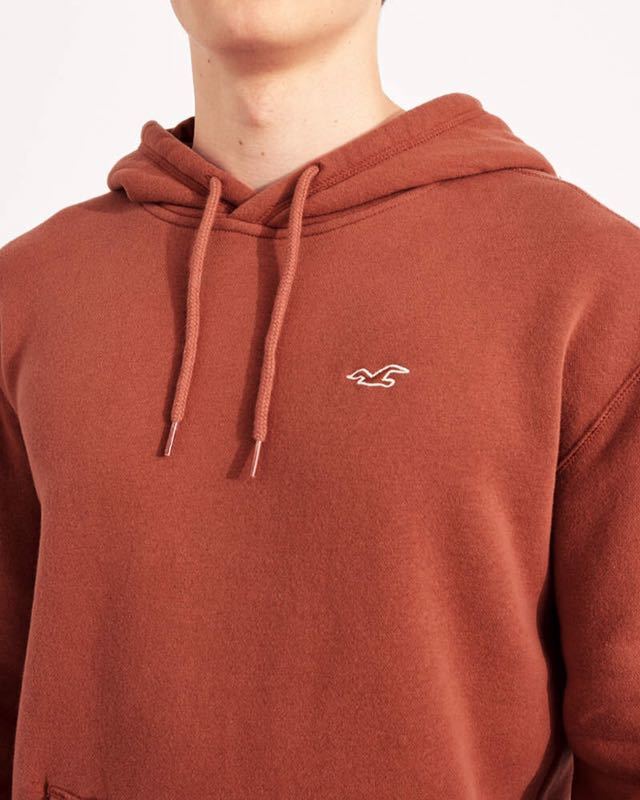 Hollisterホリスター 新品 メンズ 長袖 プルオーバーパーカー Lサイズ スウェット フーディ 送料無料 限定1点セールオススメ激安限定1点