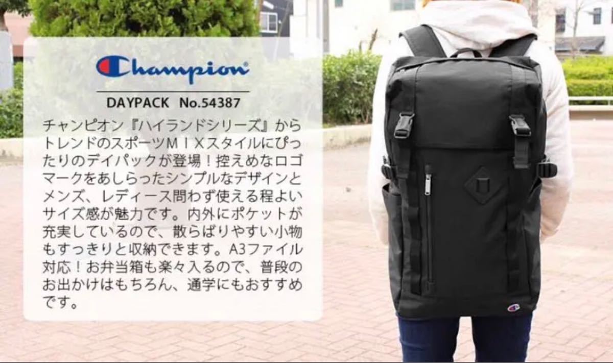 【早い者勝ち 値下げ】チャンピオン Champion  リュック 大容量