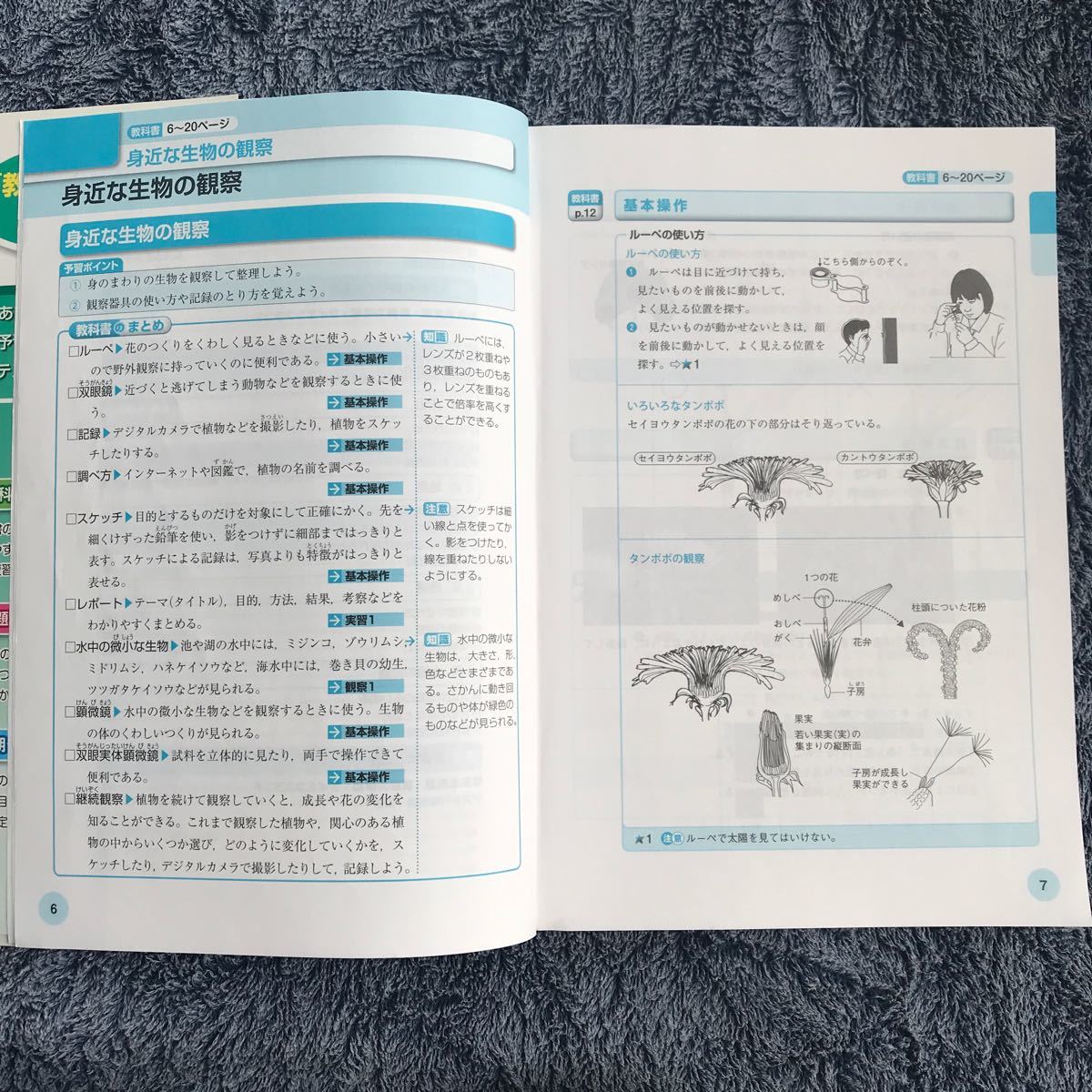 教科書ガイド 大日本図書館　中学理科1年　理科の世界