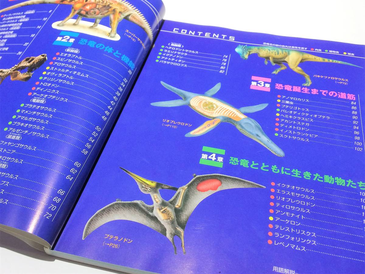 * super настоящий динозавр большой иллюстрированная книга Tomita столица один *