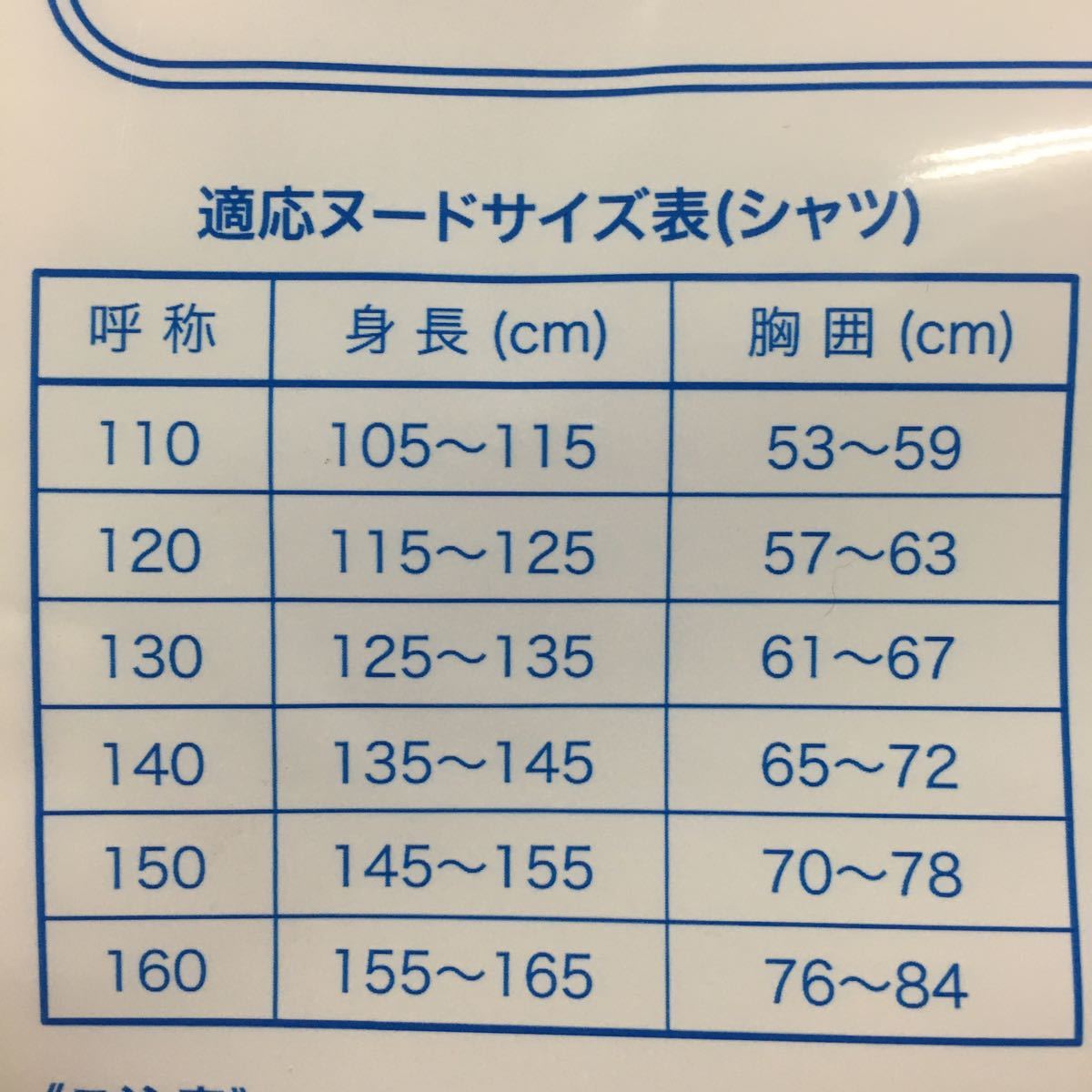 スクールスポーツウェア　半袖　サイズ110 体操服_画像2