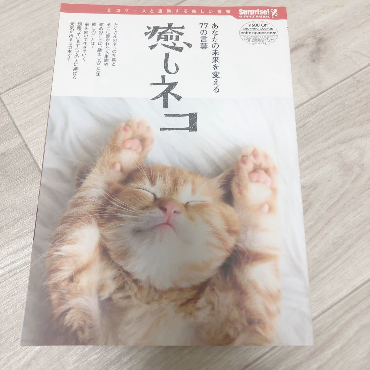 Paypayフリマ 猫 本 写真集 癒しネコ Paypayフリマ 猫 本 写真集 癒しネコ