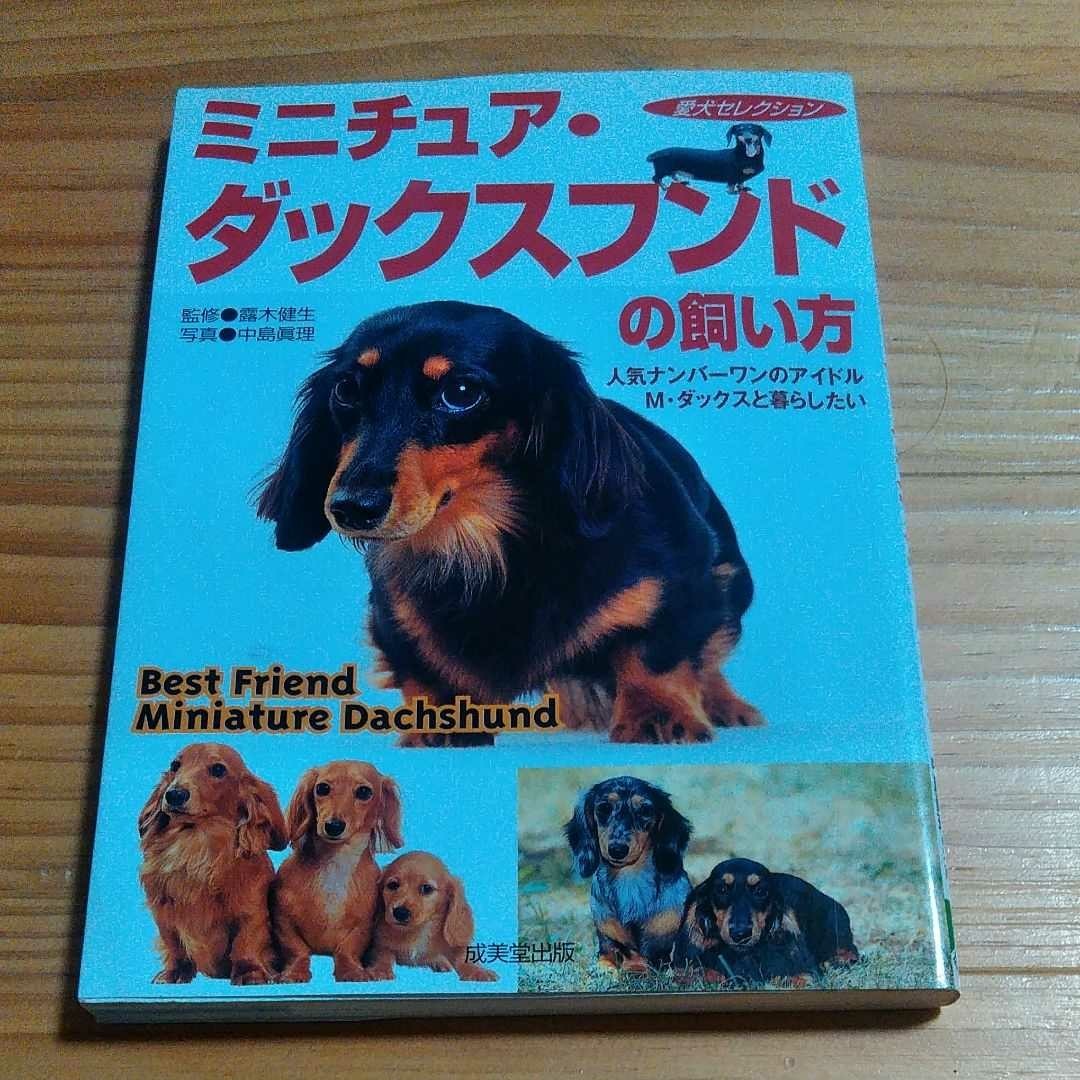 Paypayフリマ ミニチュア ダックスフンドの飼い方 Paypayフリマ ミニチュア ダックスフンドの飼い方