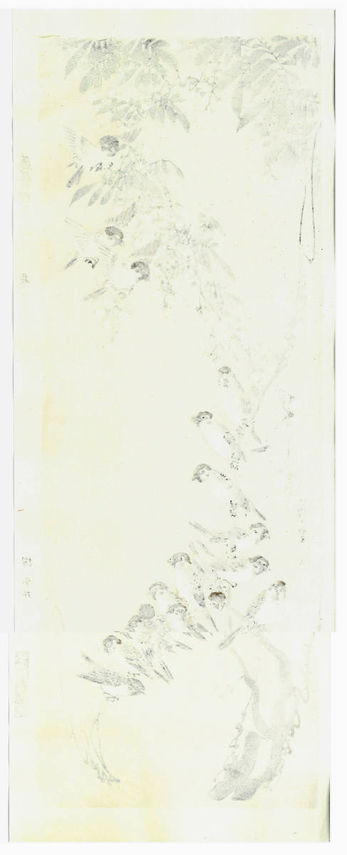 長沢芦雪　(Nagasawa Rosetsu) 木版画 藤花群雀図　初版　幕末 幕末の版木を用い一流の摺師による貴重な作品!!_画像2