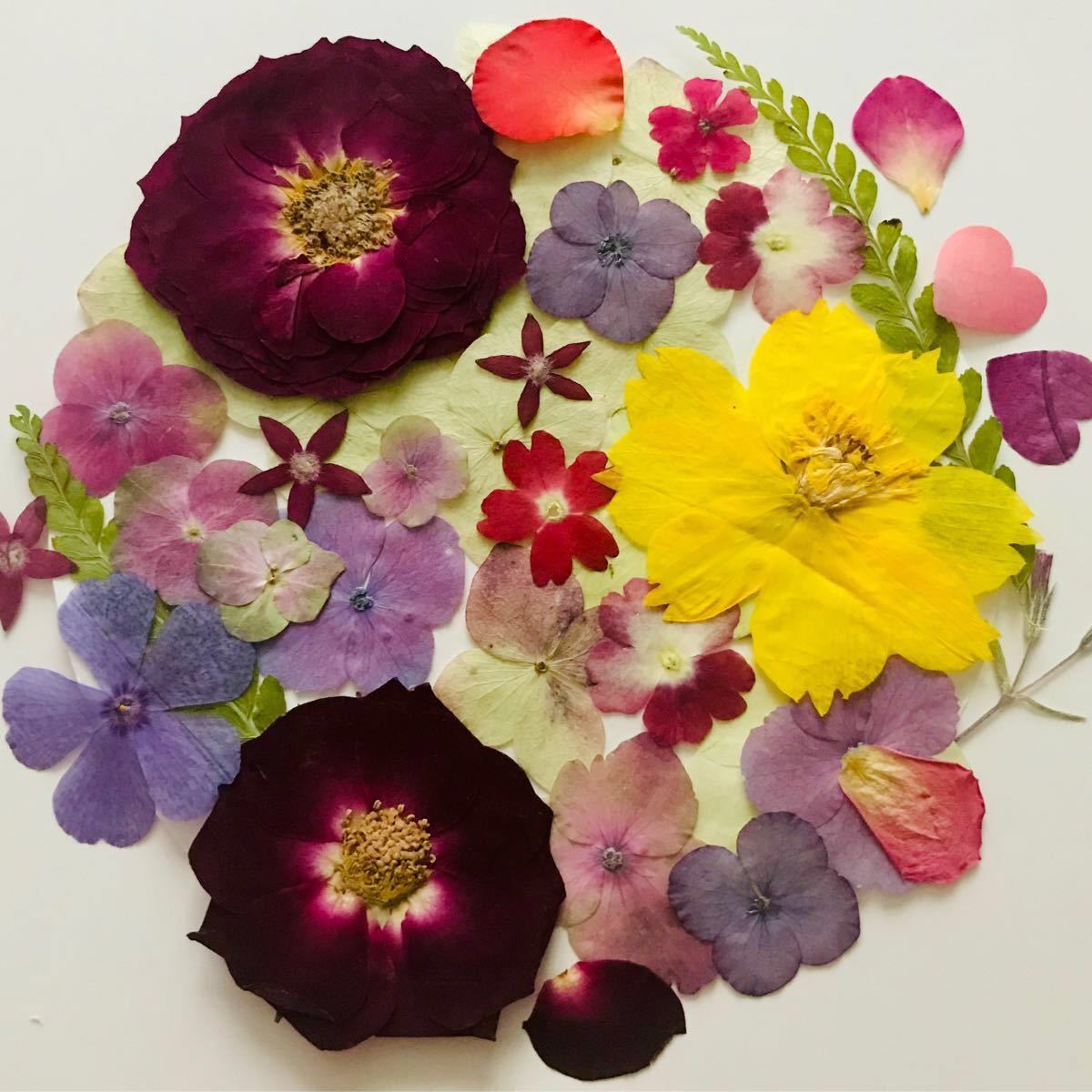 Paypayフリマ 押し花 素材 Paypayフリマ 押し花 素材