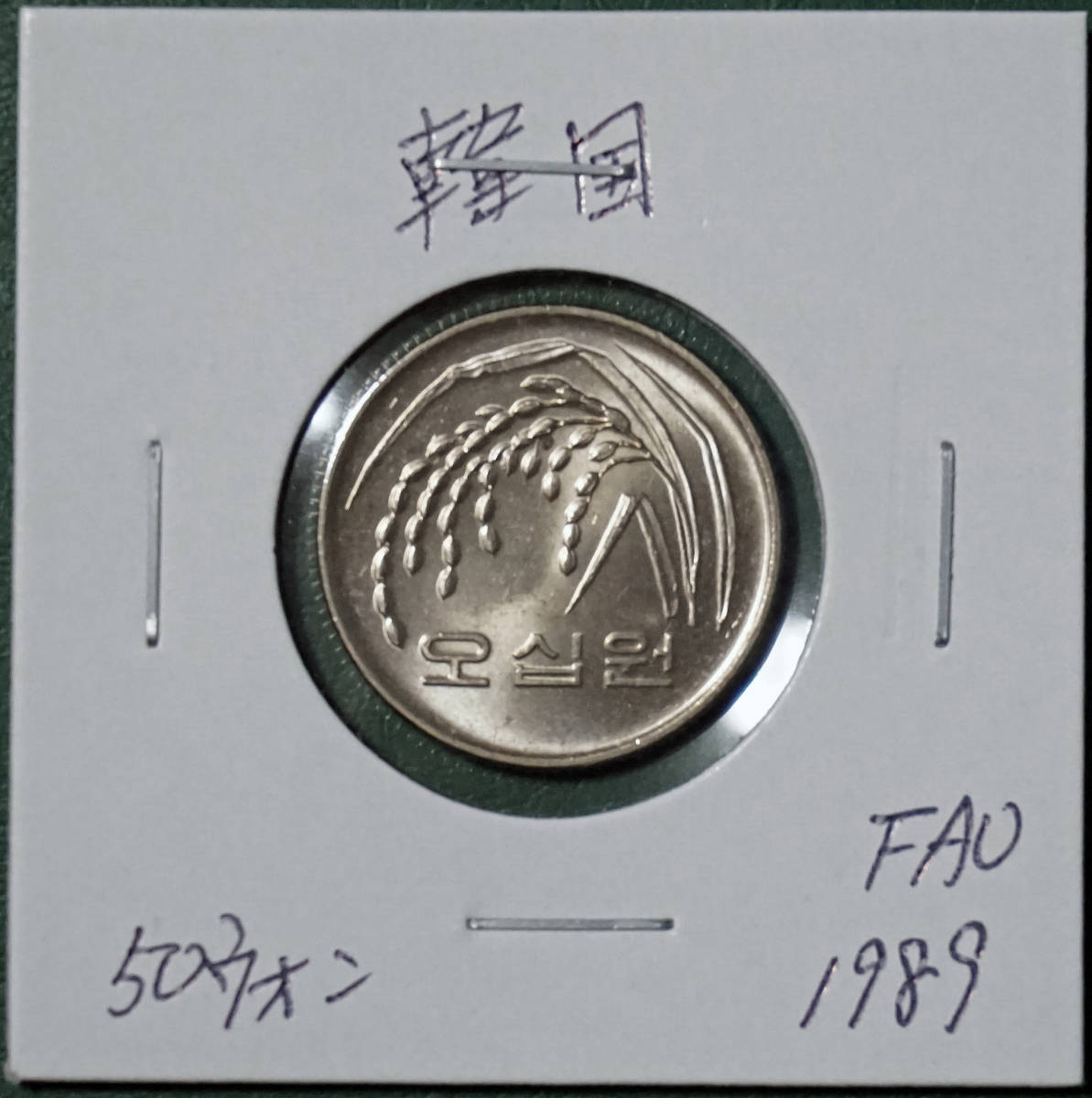 韓国　50ウォン　1989年(FAO) _画像1