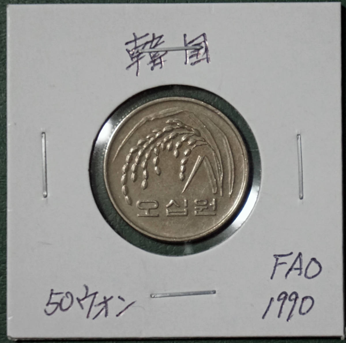 韓国　50ウォン　1990年(FAO) _画像1