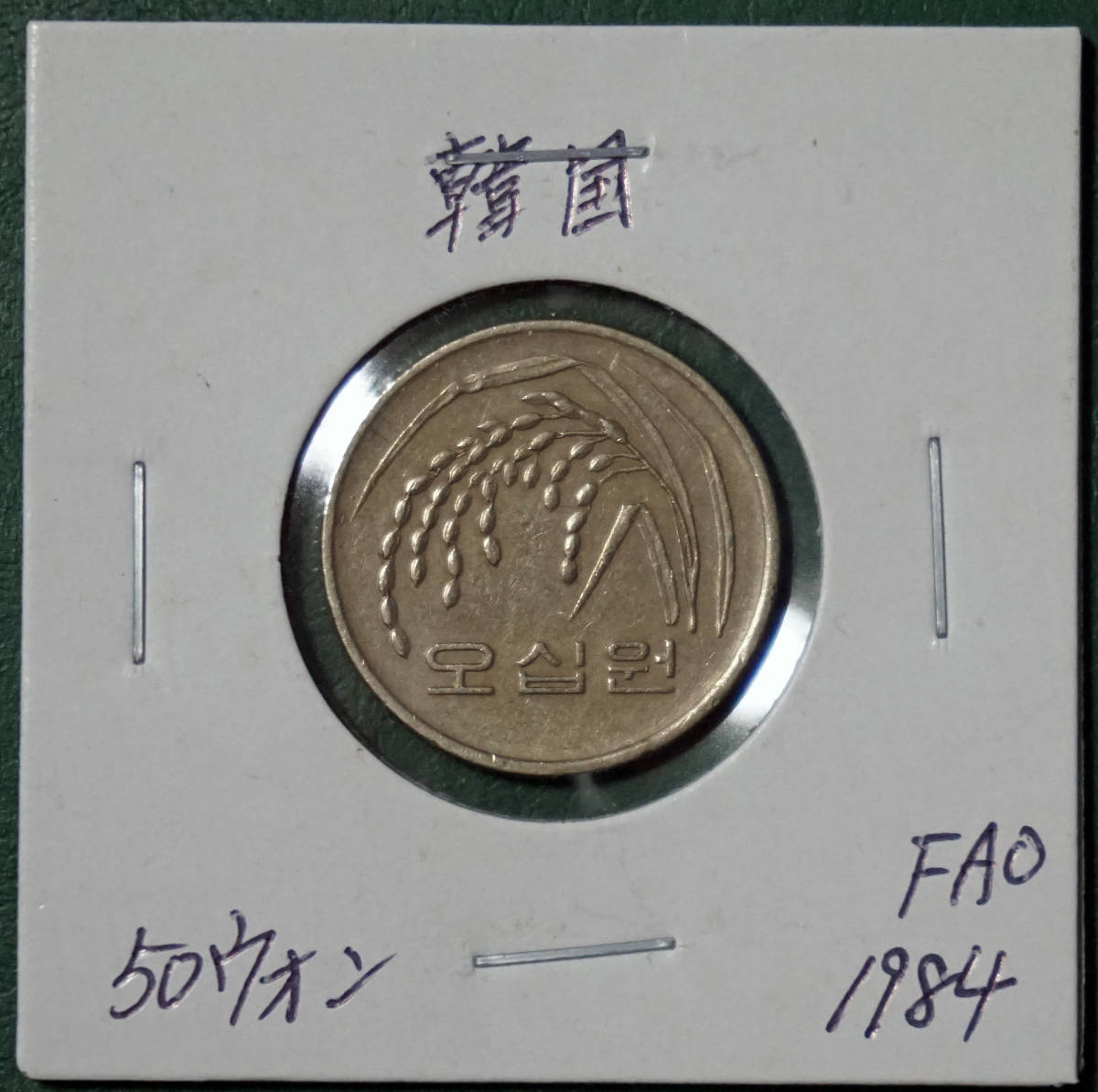 韓国　50ウォン　1984年(FAO) _画像1