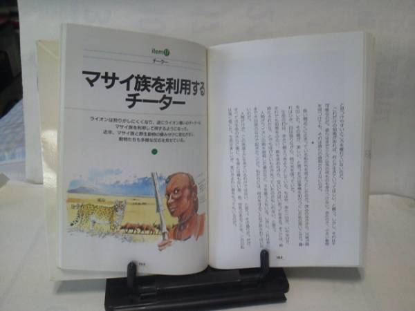 【クリックポスト】初版『ネコもキリンも見栄をはる』羽仁進/講談社_画像2