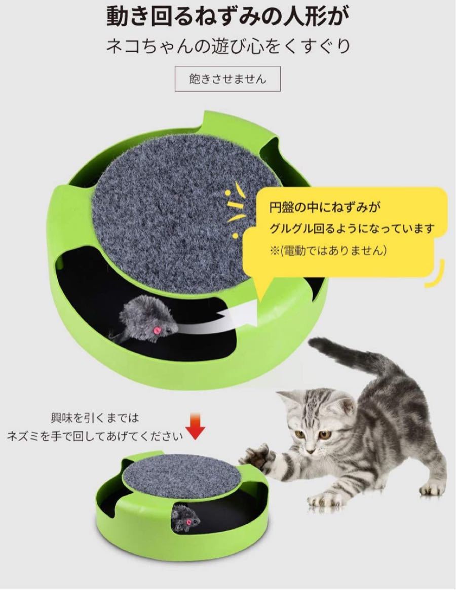 猫おもちゃネズミを捕らえる 隠す 追う 