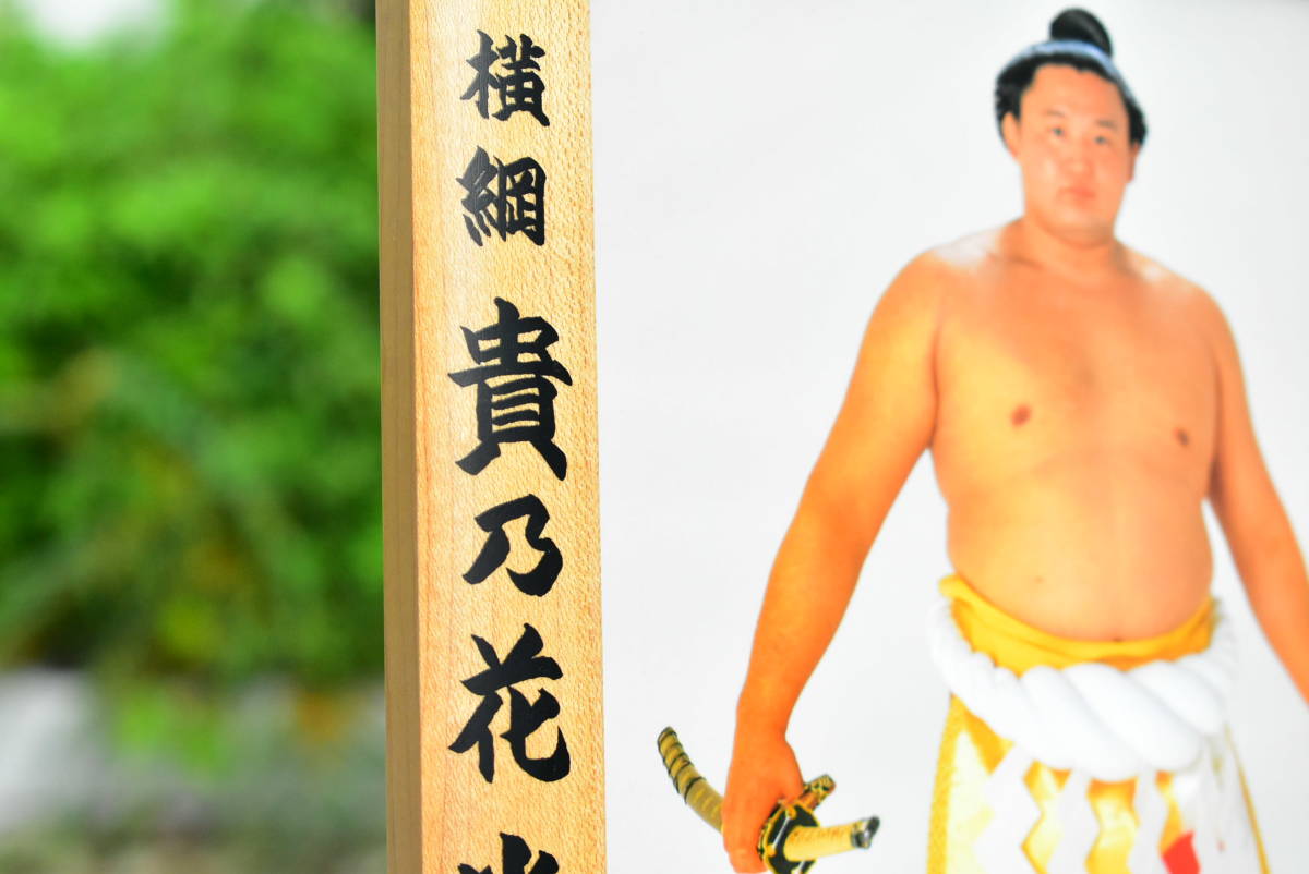 ヤフオク 大相撲優勝額 ミニチュア版 平成7年1月場所 横綱 ヤフオク 大相撲優勝額 ミニチュア版 平成7年1月場所 横綱