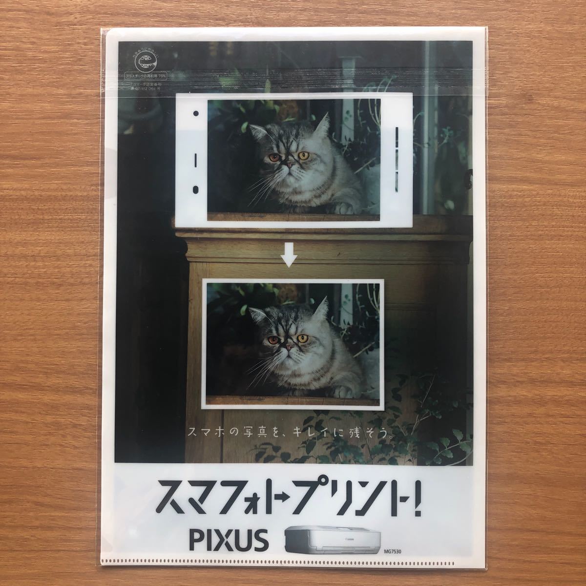 Paypayフリマ 非売品 桐谷美玲 クリアファイル Canon Pixus キヤノンプリンター Paypayフリマ 非売品 桐谷美玲 クリアファイル Canon Pixus キヤノンプリンター
