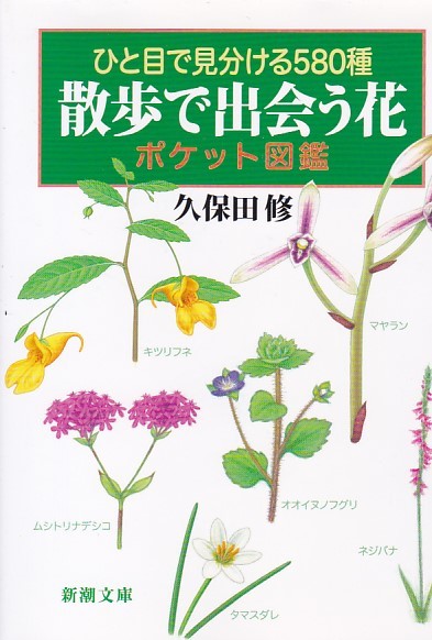 ひと目で見分ける580種 散歩で出会う花 ポケット図鑑 (新潮文庫) 久保田 修 _画像1