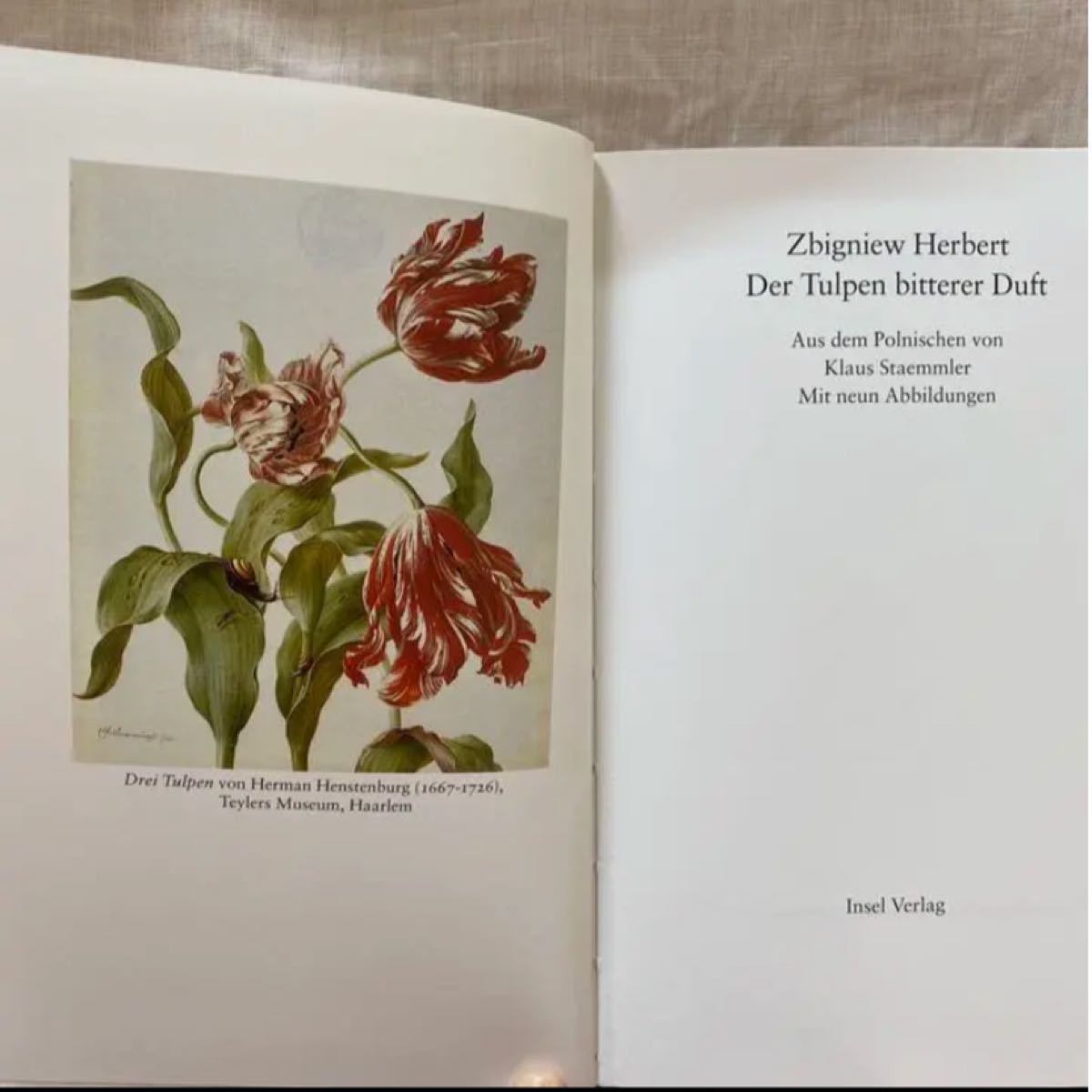 インゼル文庫 チューリップ 洋書 植物画 ボタニカルアート インゼル文庫 チューリップ 洋書 植物画 ボタニカルアート