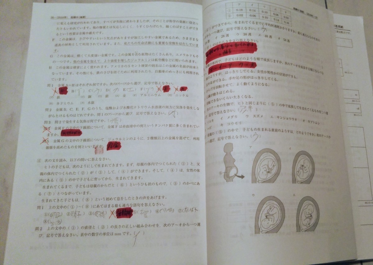 英俊社　2021年度受験用　高槻中学　過去問　中学入試