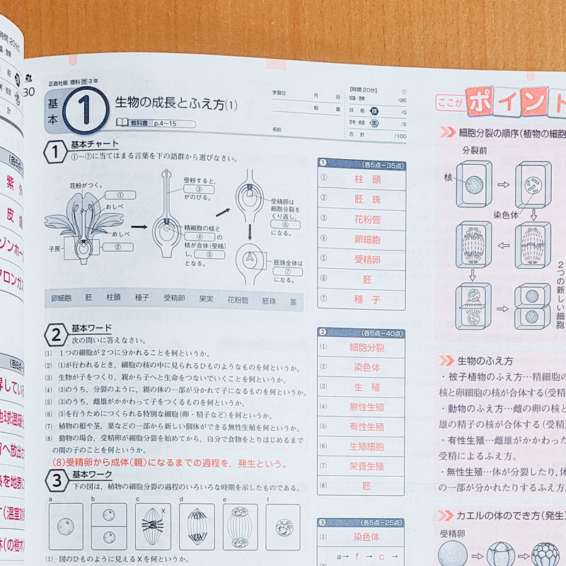 Paypayフリマ 令和2 年 基本工房 理科3年 教師用 単元別プリント 啓林館 正進社 解答 答え 啓