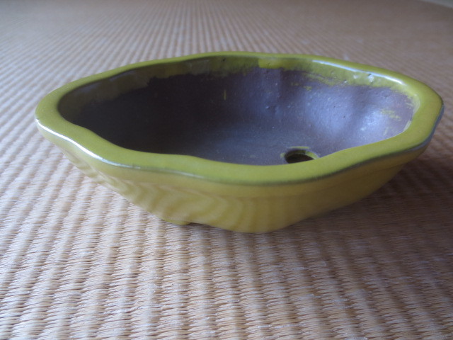 【艸】　唐物　黄釉　小花盆　木瓜型　　12.7センチ　中国古玩　小品盆栽　小鉢　　4sep1_画像3
