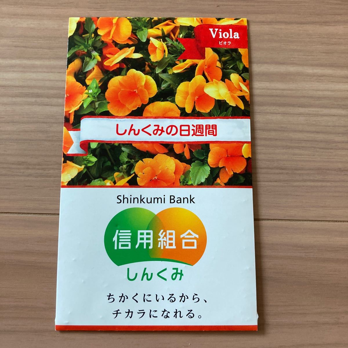 ビオラ家庭菜園花種種苗送料63円 日本代購代bid第一推介 Funbid ビオラ家庭菜園花種種苗送料63円 日本代購代bid第一推介 Funbid