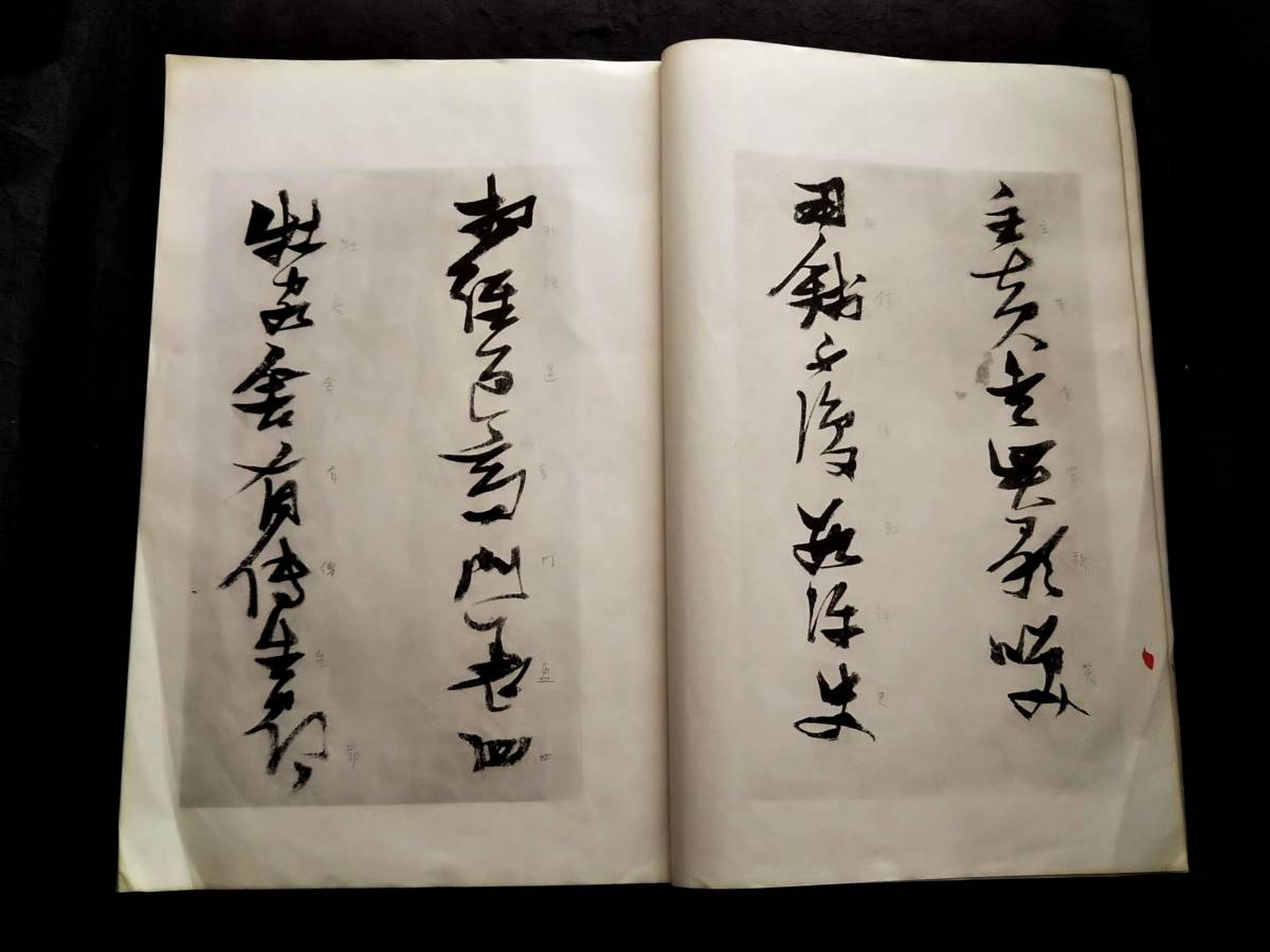 張瑞図 白豪庵 草書帖 柯羅版 玻璃版 検索:支那 原拓片 北魏碑帖 法帖 法書道 印譜 漢籍 善本 古墨拓 碑刻石 瓦当 金石 篆刻 唐本拓本 真蹟_画像3