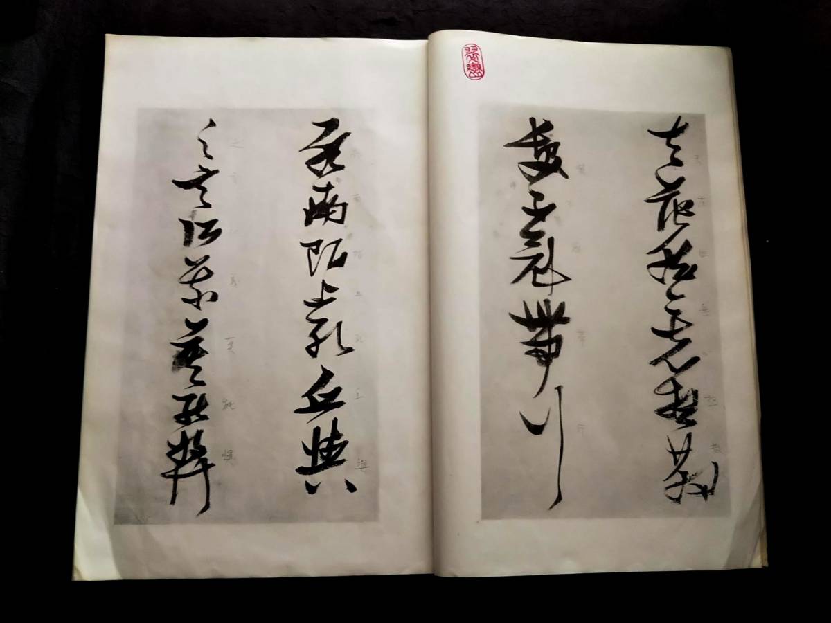 張瑞図 白豪庵 草書帖 柯羅版 玻璃版 検索:支那 原拓片 北魏碑帖 法帖 法書道 印譜 漢籍 善本 古墨拓 碑刻石 瓦当 金石 篆刻 唐本拓本 真蹟_画像5