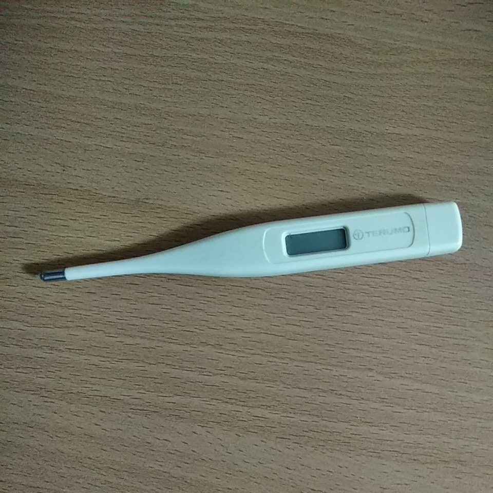 Paypayフリマ テルモ 電子体温計 C3 Paypayフリマ テルモ 電子体温計 C3