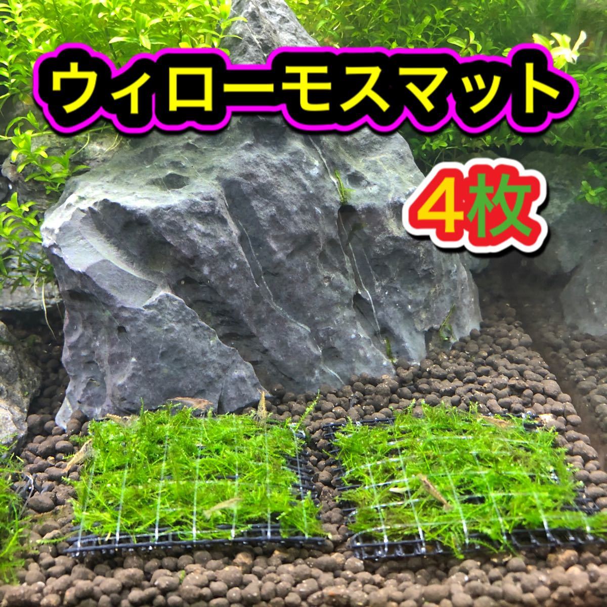 Paypayフリマ おまけ付き ウィローモスマット 5 5 4枚 ウィローモス溶岩石ミニミニ1個 Paypayフリマ おまけ付き ウィローモスマット 5 5 4枚 ウィローモス溶岩石ミニミニ1個