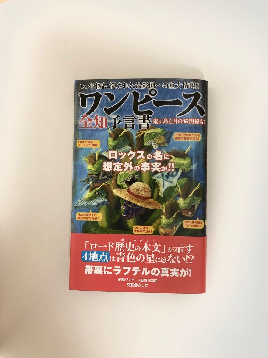 ワンピース 考察 全知予言書